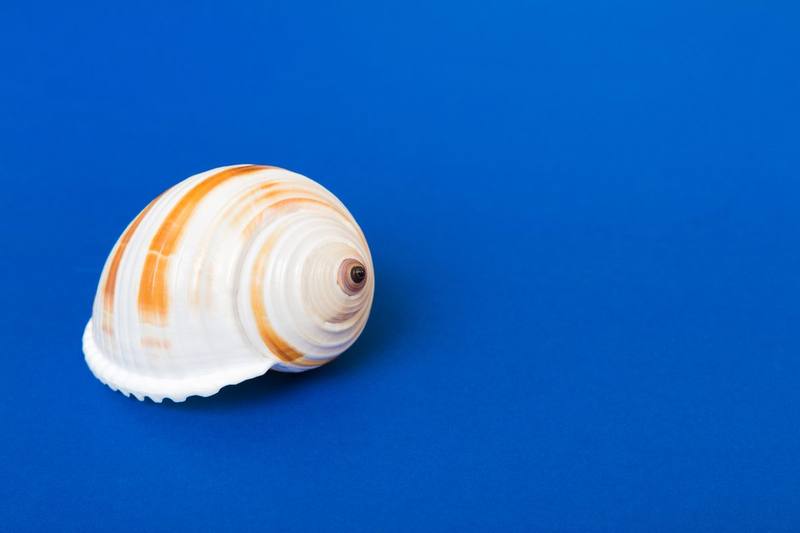 Manualidades de Verano para Niños y Familias: Decoración Costera DIY