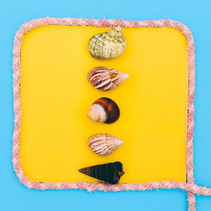 Estrellas de Mar: La Melodía Marina para tu Boda DIY Soñada