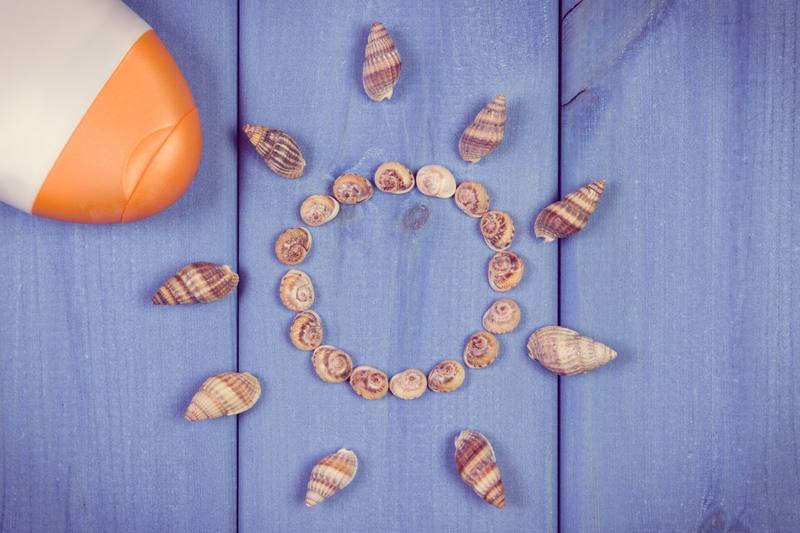 Conchas en la orilla del mar al atardecer