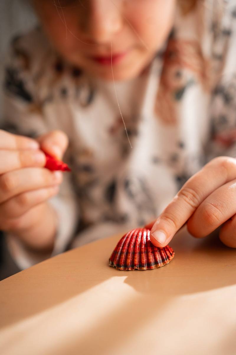 Manualidades con conchas
