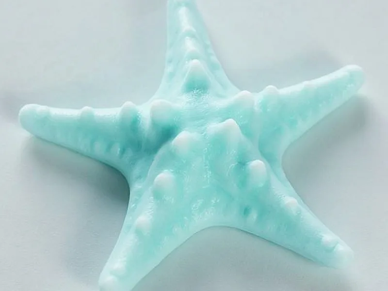 Molde estrella de mar mediana - El secreto de la perfección marina: tu molde de silicona premium