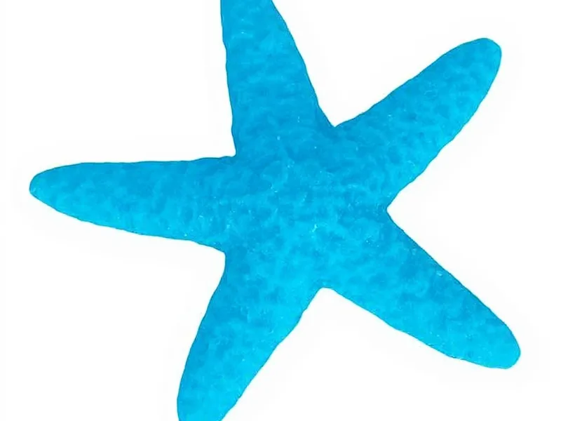 Molde mini estrella de mar asteroidea - El secreto de tus creaciones: Un molde de silicona premium, versátil y duradero