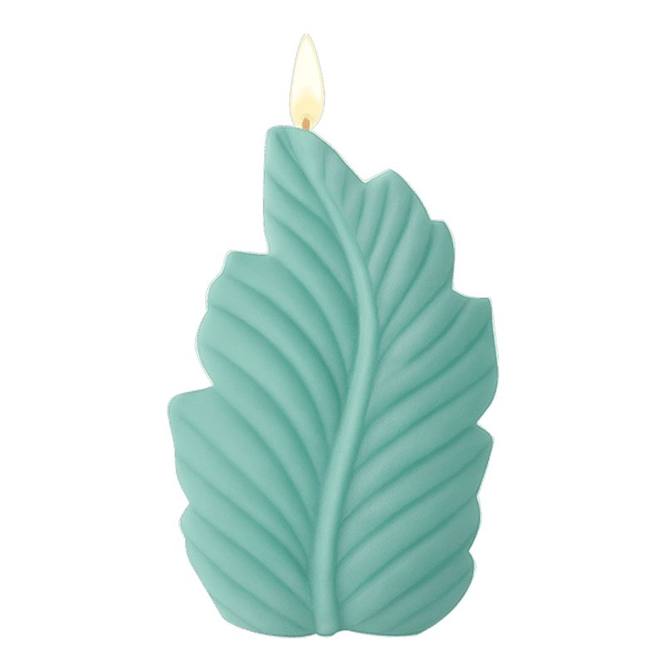 Cera de soja alto punto de fusión moldeable