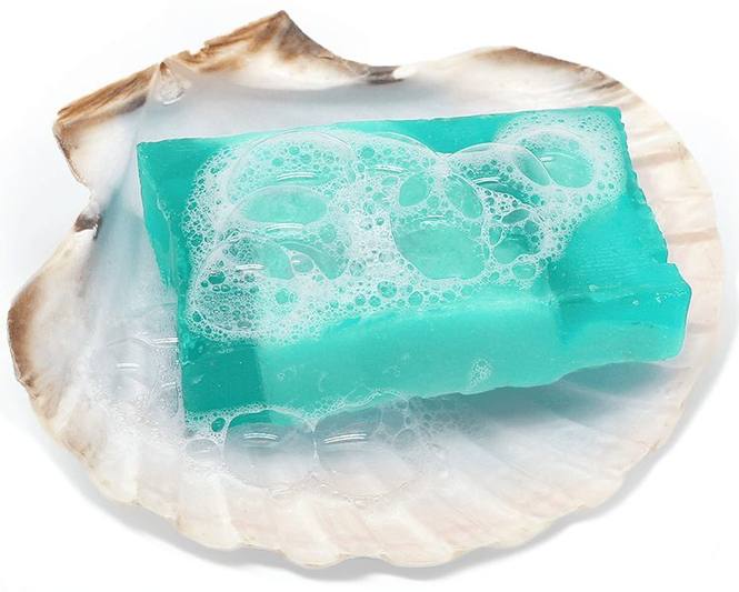 Concha de vieira iris scallop