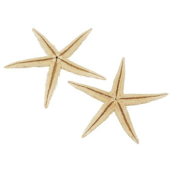 Estrella de mar filipina 2- 2,5 cm
