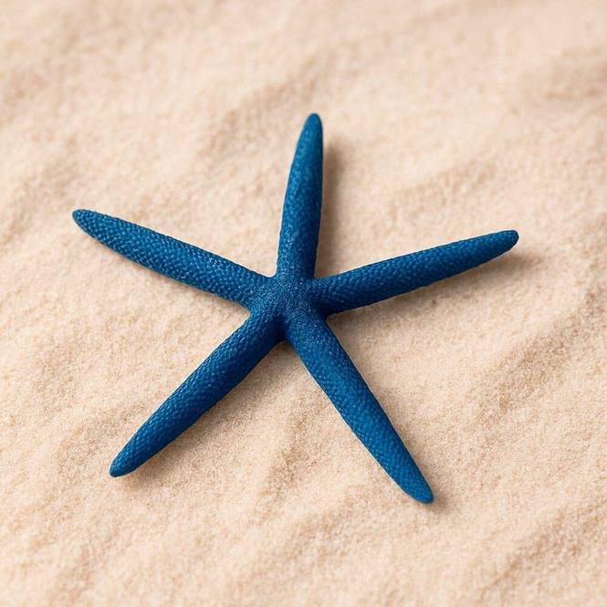 Estrella de mar natural albina azul 7,5-10 cm