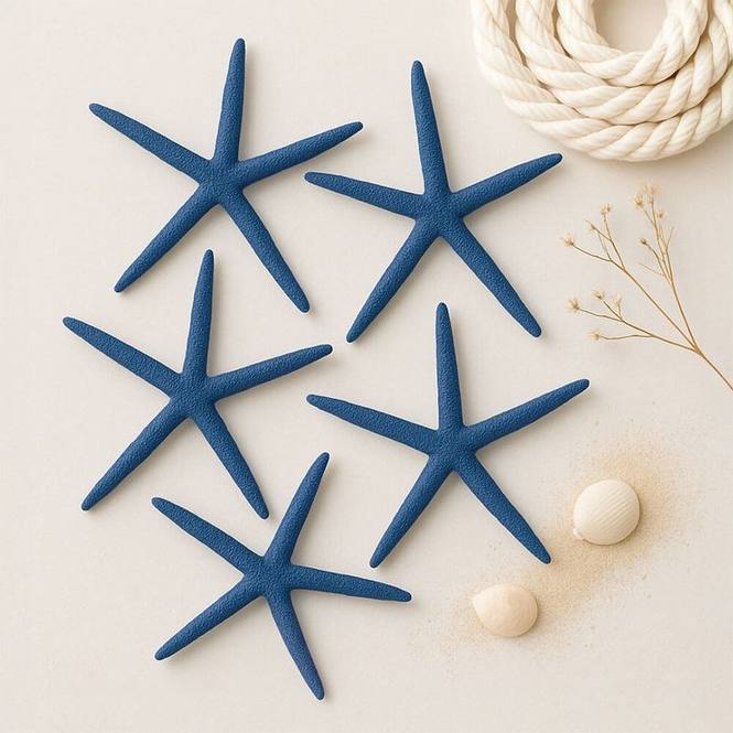 Estrella de mar natural albina azul 7,5-10 cm