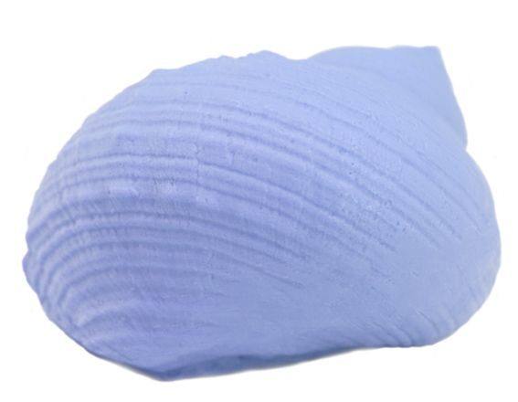 Molde caracol marino para velas