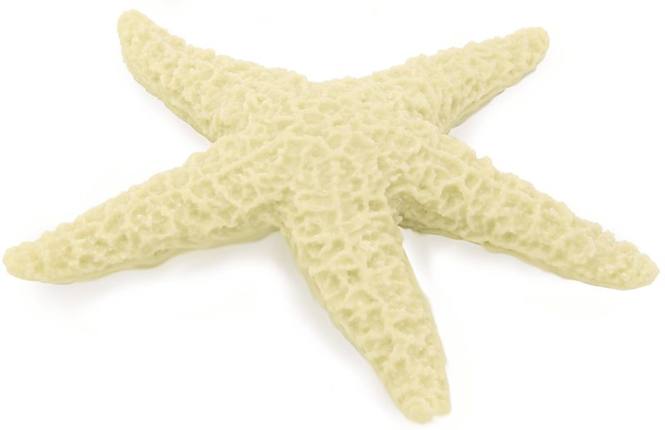 Molde estrella de mar asteroidea