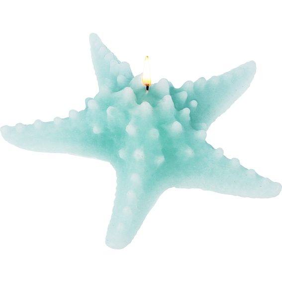 Molde estrella de mar grande