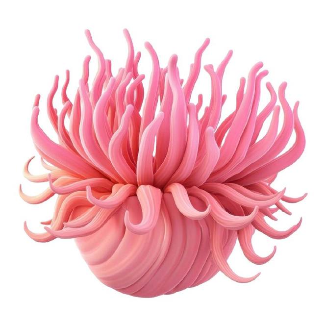 Esencia aromática Rose Marine