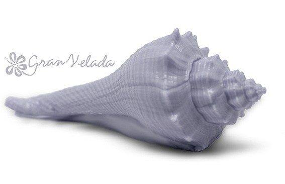 Molde caracola del Caribe
